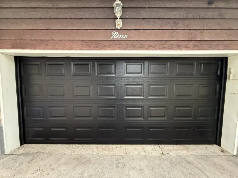 Dark brown raised panel door